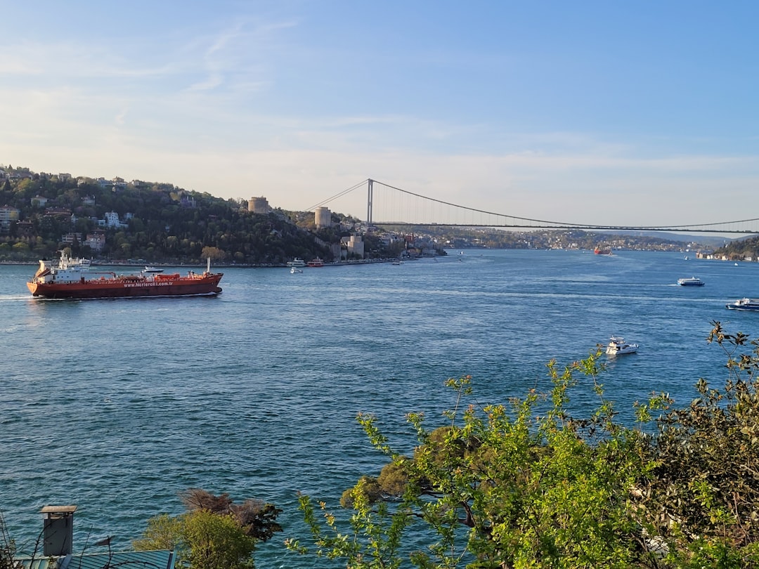 Container ships navigating narrow waterway