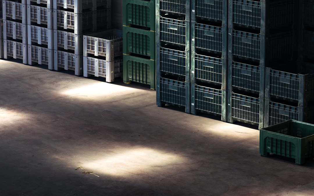 Cargo containers at customs facility